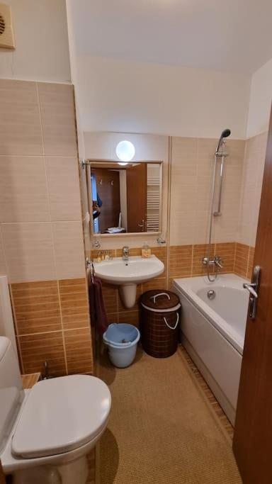 Bh & Semiramida Ski Apartment Боровец Екстериор снимка