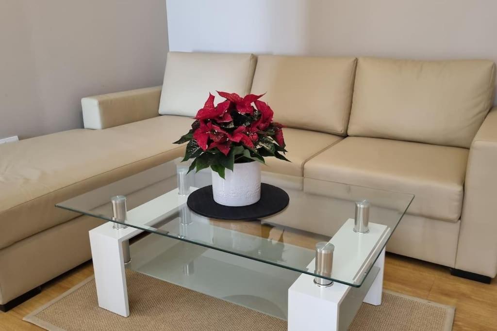 Bh & Semiramida Ski Apartment Боровец Екстериор снимка
